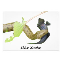 Dice Snake Custom Invitation