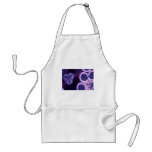 Dicotyledon, flower bud flowers aprons