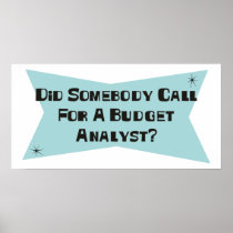 Did Somebody Call For A Budget Analyst Poster