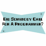 Did Somebody Call For A Programmer photo sculptures