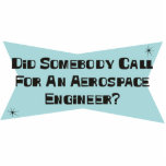 Did Somebody Call For An Aerospace Engineer photo sculptures