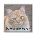 Did you buy my treats? Cat magnet