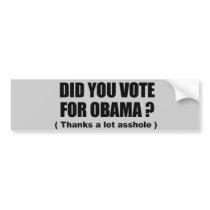 Did you vote for Obama - Thanks a lot asshole Bumper Sticker