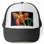 Dieffenbachia Mesh Hats