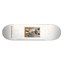 Diesel SK8 Board Custom Skate Board