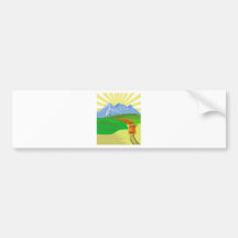 diesel train passenger freight locomotive bumper sticker