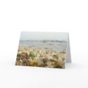 Difference - Shell and Pebbles at the beach cards