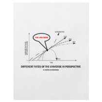Different Fates Of The Universe In Perspective