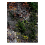 Different Mountain Views Post Card