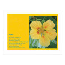 Digging Postcard