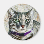 Digital Cat Art Magnets