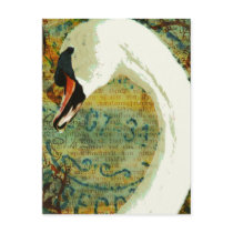 Digital Collage Swan Post Cards