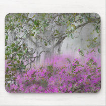 Digital Composite of Azaleas and magnolia tree Mousepads