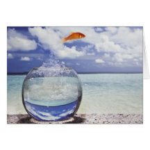 Digital composition cards