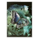 digital monarch butterfly painting modern art cards