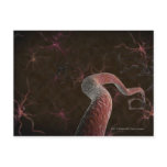Digital rendering of neurons post cards