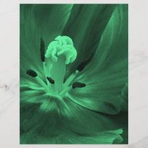 digitalgreen tulip full color flyer