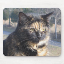 Dignified Cat Mouse Mat