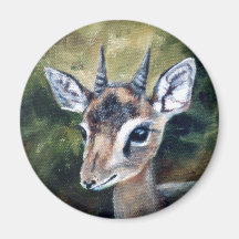 Dikdik Dwarf Antelope Magnet