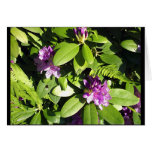 Diligent Bumble Bee Greeting Card