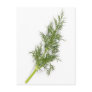 Dill Weed Post Cards
