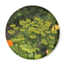 dille refrigerator magnet