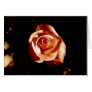 Dim Pink Rose Greeting Card