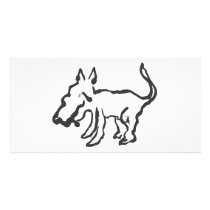 Dingo Picture Card