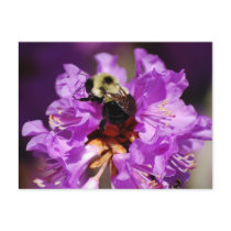 Dining Bumble Bee Post Cards