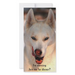 Dinner invitation (humourous) photo cards