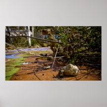 Dino Battleground Print