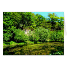 Dino Park_Lake Greeting Card