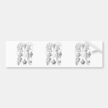 Dinoflagellates Bumper Stickers