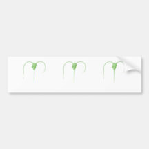 Dinoflagellates Bumper Stickers