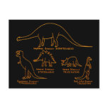 Dinosaur Classification postcards