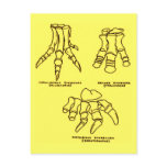 Dinosaur Foot Bones postcards