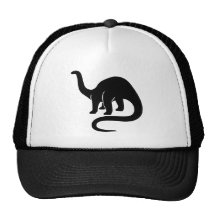 Dinosaur Hat -  Black