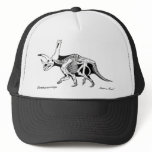 Dinosaur Hat Pentaceratops skeleton  Gregory Paul