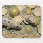 Dinosaur Nest Mouse Pad mousepads