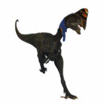 Dinosaur Photo Sculpture Oviraptor Gregory Paul photo sculptures