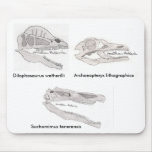 Dinosaur skull mousepad #1