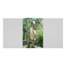 Dinosaur T-Rex Picture Card