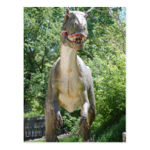 Dinosaur T-Rex Postcards