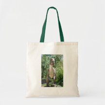 Dinosaur T-Rex Tote Bag