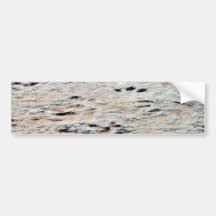 Dinosaur Tracks Bumper Stickers