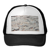 Dinosaur Tracks Mesh Hats
