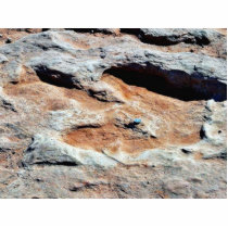 Dinosaur Tracks North Of Flagstaff Photo Cut Outs