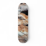 Dinosaur Tracks North Of Flagstaff Skateboard Deck