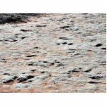 Dinosaur Tracks Photo Cutouts