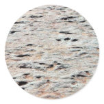 Dinosaur Tracks stickers